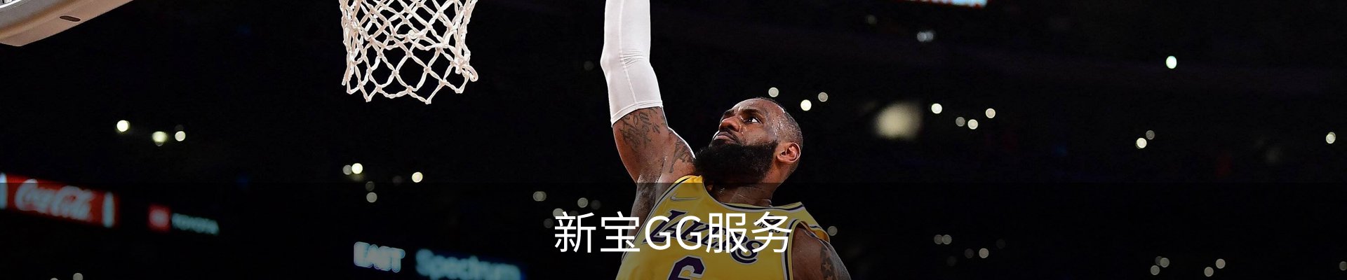 新宝GG服务